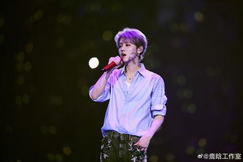 勋章鹿晗背景,勋章背后的辉煌历程